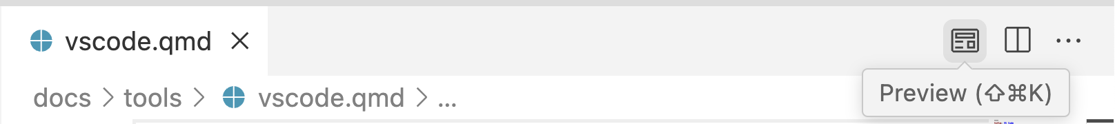The top of the VS editor. The right side of the editor tab area includes a Preview button.